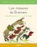 AudioLibro Los Musicos de Bremen de Jacob Grimm