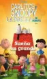 AudioLibro Sueña en Grande - Carlitos y Snoopy de Schulz
