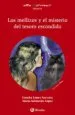 AudioLibro Los Mellizos y el Misterio del Tesoro Escondido de Concha Lopez Narvaez; Maria Salmeron Lopez