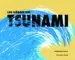 AudioLibro Los Heroes del Tsunami de Fernando Vilela
