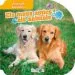 AudioLibro Animals Domestics (Els Meus Amics els Animals) de Varios Autores