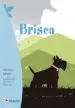 AudioLibro Brisca de Andreu Martin