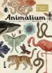 AudioLibro Animalium de Katie Scot