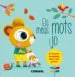 AudioLibro Els Meus Mots i jo de Maria Odile Fordacq