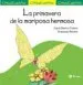 AudioLibro La Primavera de la Mariposa Hermosa (Chiquicuentos) de Jordi Sierra I Fabra
