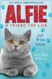 AudioLibro Alfie far From Home de Rachel Wells