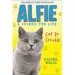 AudioLibro Alfie cat in Trouble de Rachel Wells