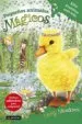 AudioLibro Pequeños Animales Magicos 3:Ellie Plumitas Esta Sola de Daisy Meadows