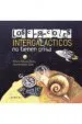 AudioLibro Los Caracoles Intergalacticos no Tienen Prisa de German Martin Galan