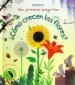 AudioLibro Como Crecen las Flores de Katie Daynes