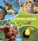 AudioLibro Animales Salvajes (mi Libro de Animales) de Varios Autores