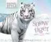 AudioLibro Snow Tiger (Mas de 400 Pegatinas) de Varios Autores