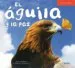 AudioLibro El Aguila y la paz de Jose Moran