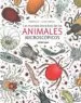 AudioLibro Los Mundos Invisibles de los Animales Microscópicos de Helene Rajcak