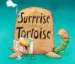 AudioLibro A Surprise for Mrs. Tortoise de Paula Merlan