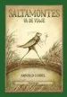AudioLibro Saltamontes va de Viaje de Arnold Lobel