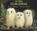 AudioLibro As Tres Curuxiñas de Varios Autores