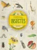 AudioLibro Insectes (Col.Lecció de Curiositats) de Varios Autores