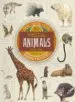 AudioLibro Animals (Col.Leccio de Curiositats) de Varios Autores