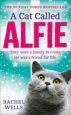 AudioLibro A cat Called Alfie de Rachel Wells