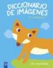AudioLibro Los Animales: Diccionario de Imagenes de Varios Autores