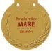 AudioLibro Per a la Millor Mare del Mon: Medalles de Varios Autores